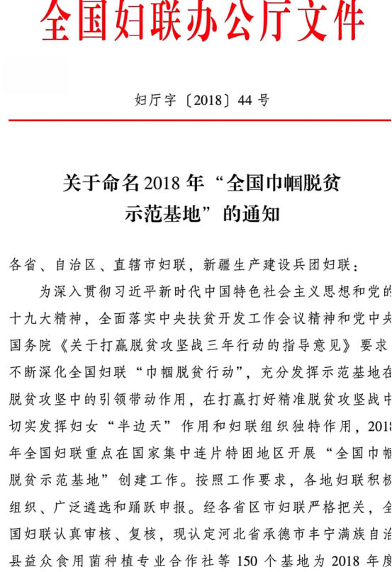 全国巾帼家政示范基地官方授予文件1