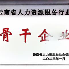 云南省人力资源服务行业骨干企业及领军人物